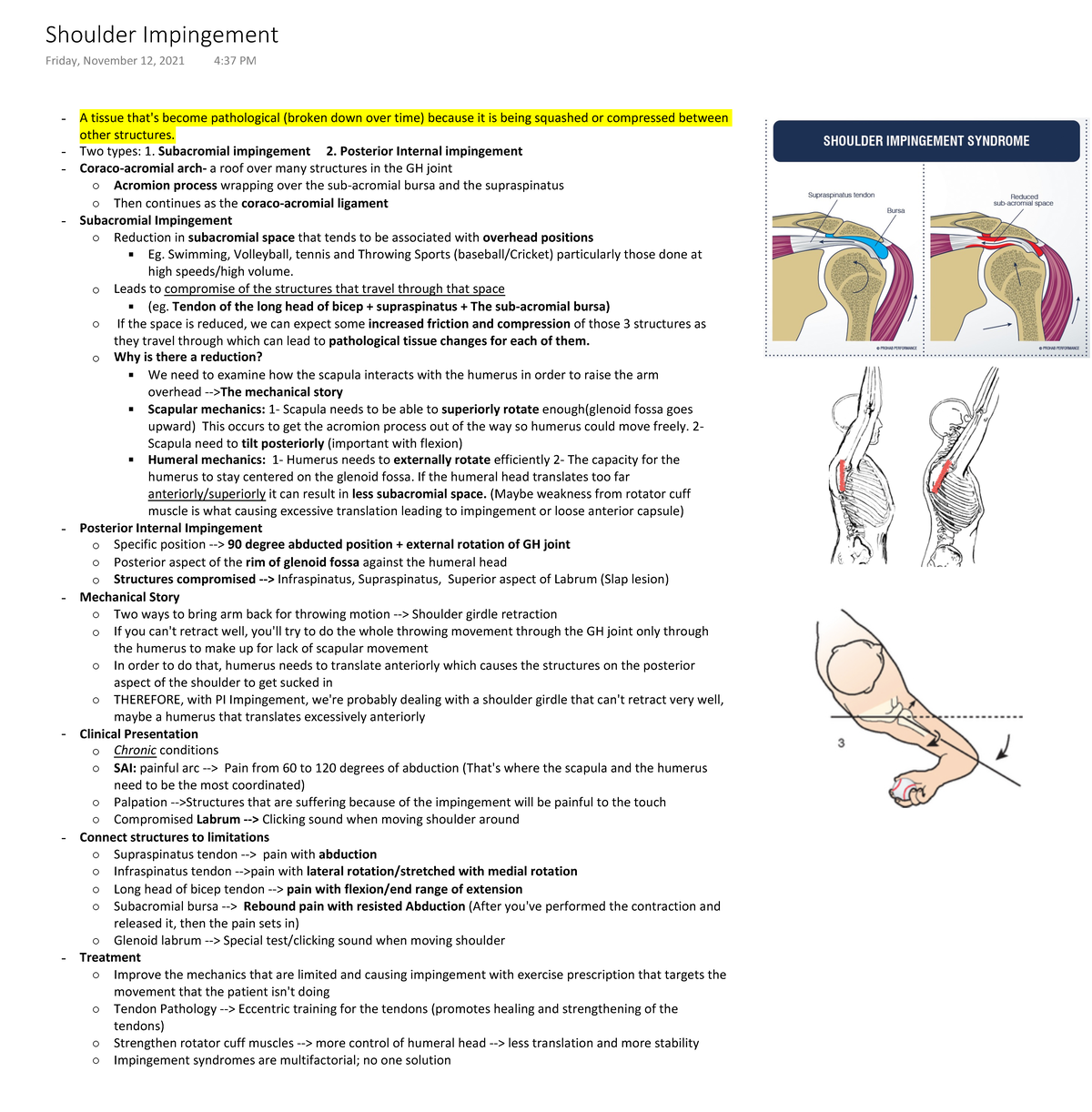 Shoulder Impingement - A tissue that's become pathological (broken down ...