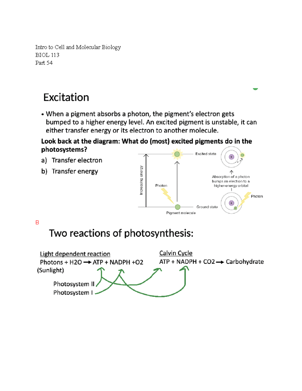 Intro To Cell And Molecular Bio 113 Lecture Notes Part 54 - Dr. Sarah ...