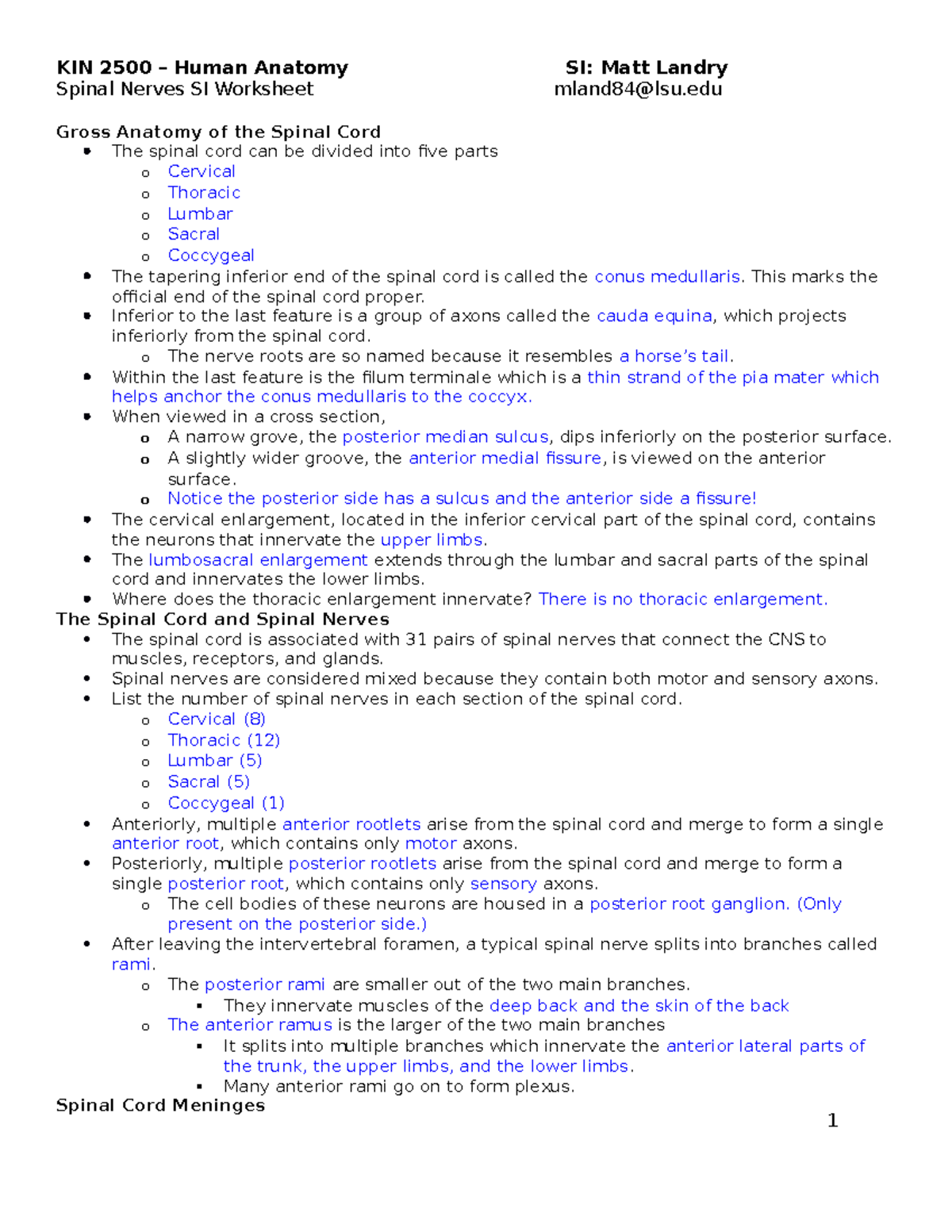 Spinal Nerves SI - Hargroder - Spinal Nerves SI Worksheet Mland84@lsu ...