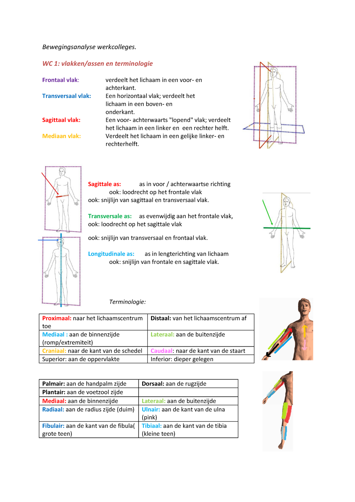 SamenvattingAA Leren Bewegen: College(s) Anatomie - Bewegingsanalyse ...