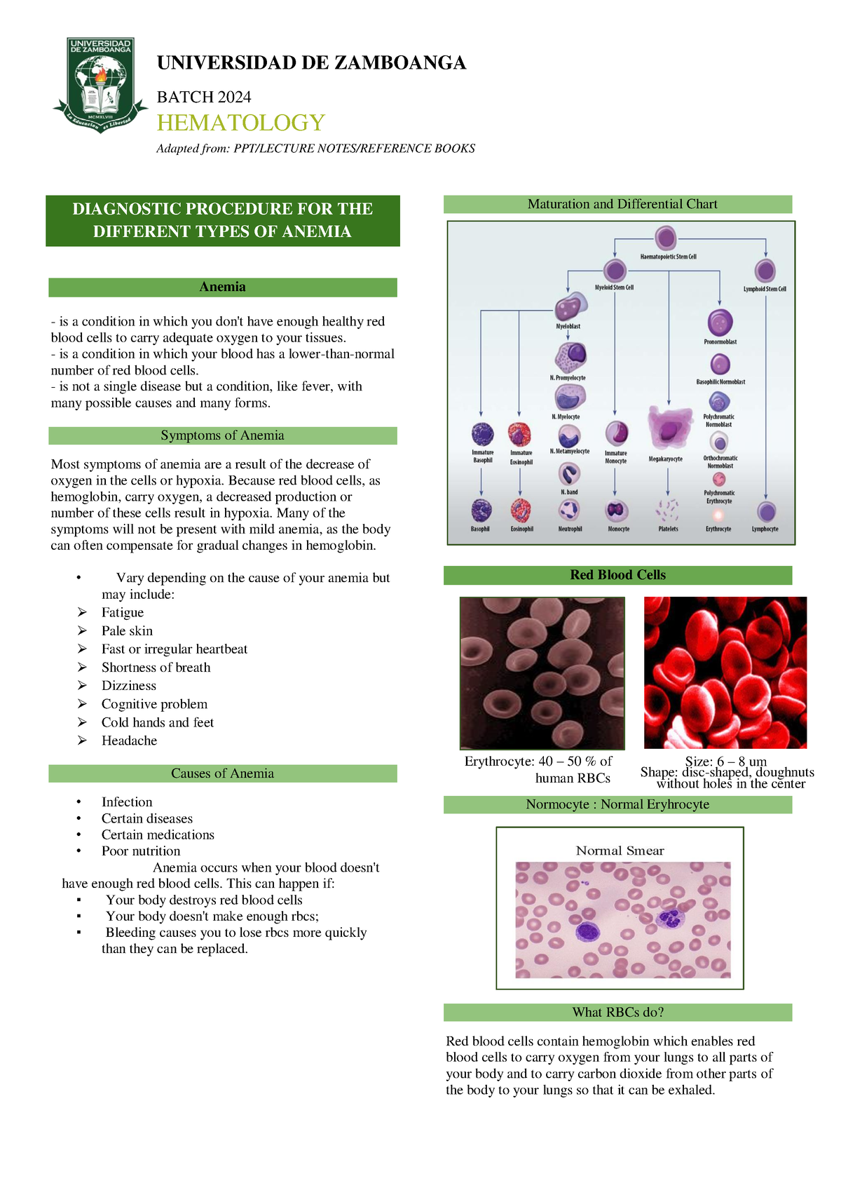 HematologyWeek4Midterms Anemia BATCH 2024 HEMATOLOGY Adapted from