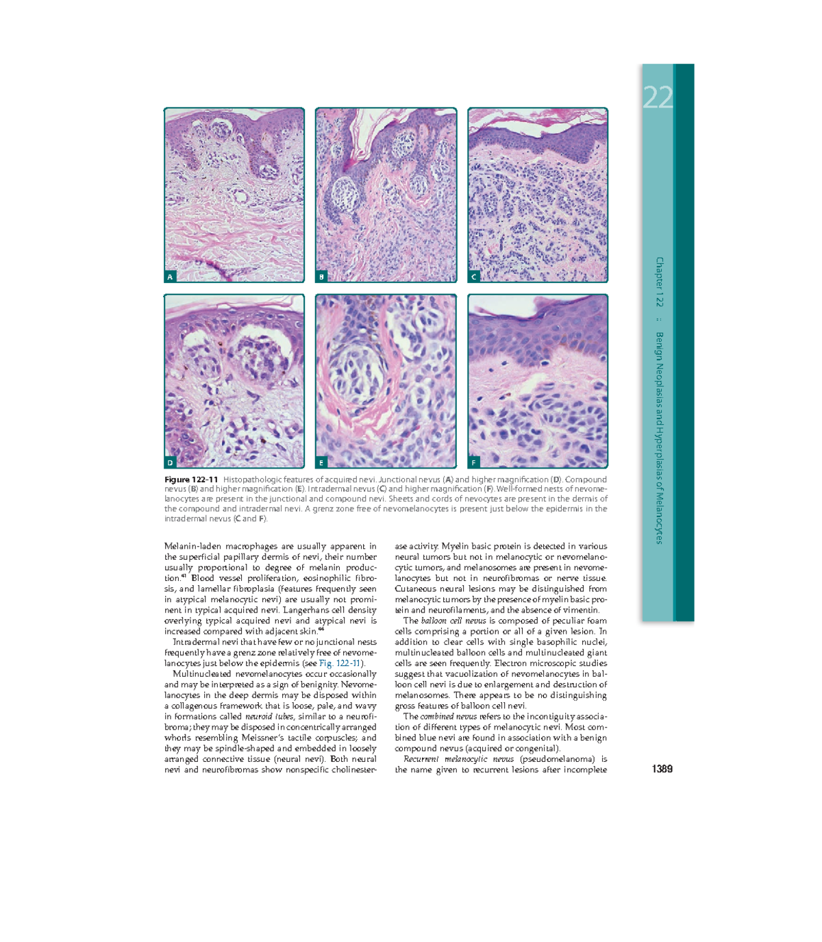 Microbial new 1-97 - Learning medical health - 1389 Chapter 122 ...