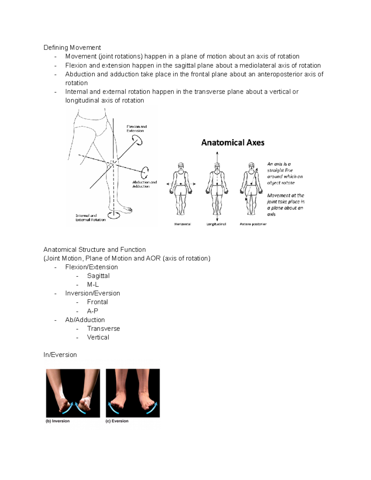 The Foot and Ankle - Professor Zach Siebert - Defining Movement ...