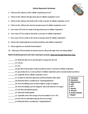 4 - Lipid Worksheet - Answer Key For The Worksheet - General Biology Ii 