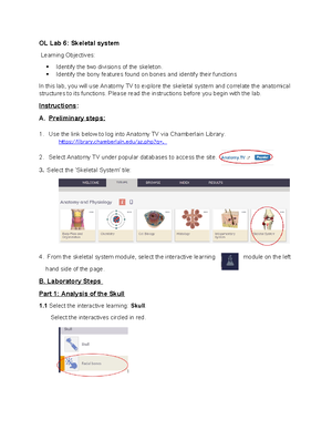 Final LABS BIOS251 Online Labs Week 7 Joints Lab S - Name: OL Lab 7 ...