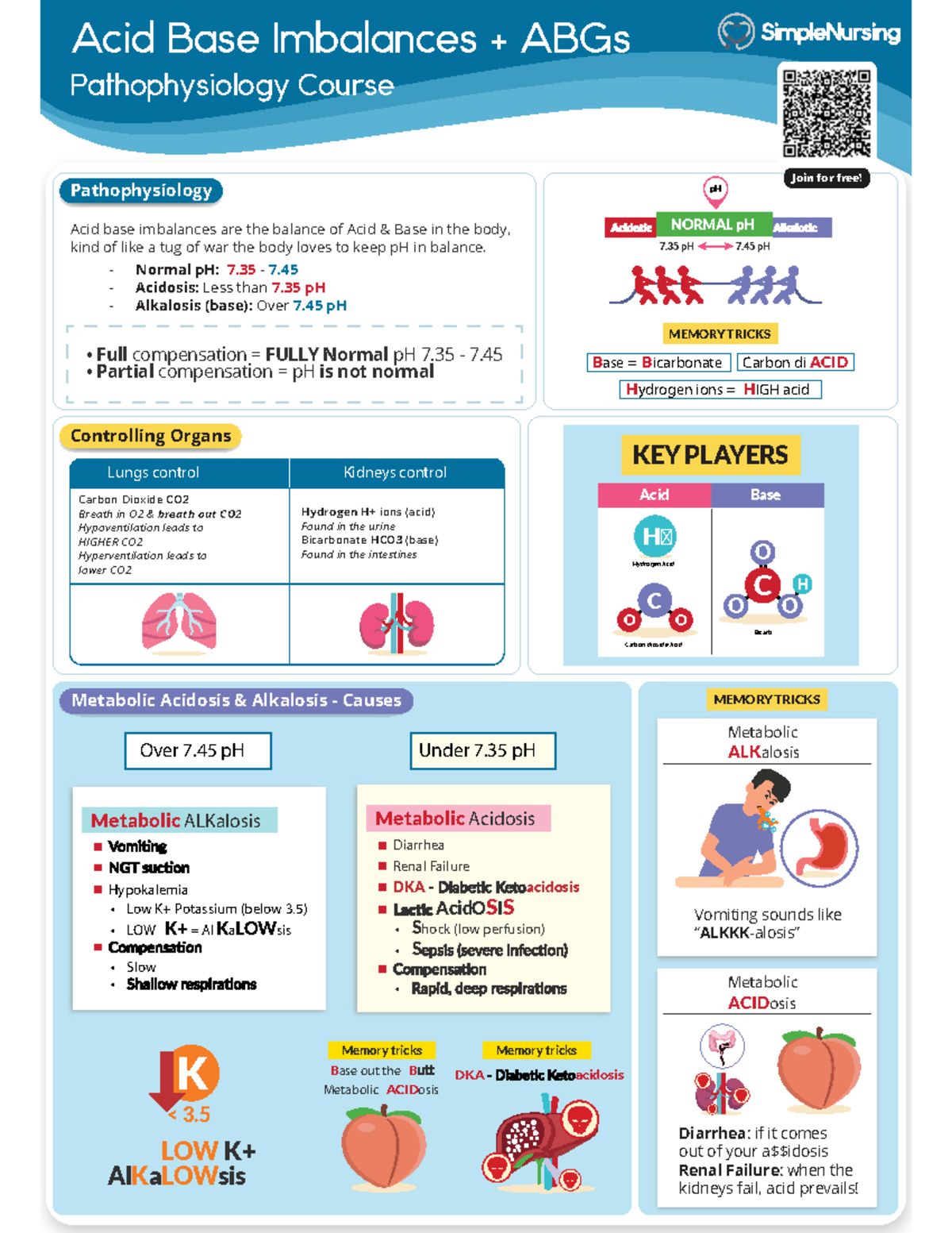 V1 - Metabolic Acidosis Alkalosis Study Guide - Acid Base Imbalances ...