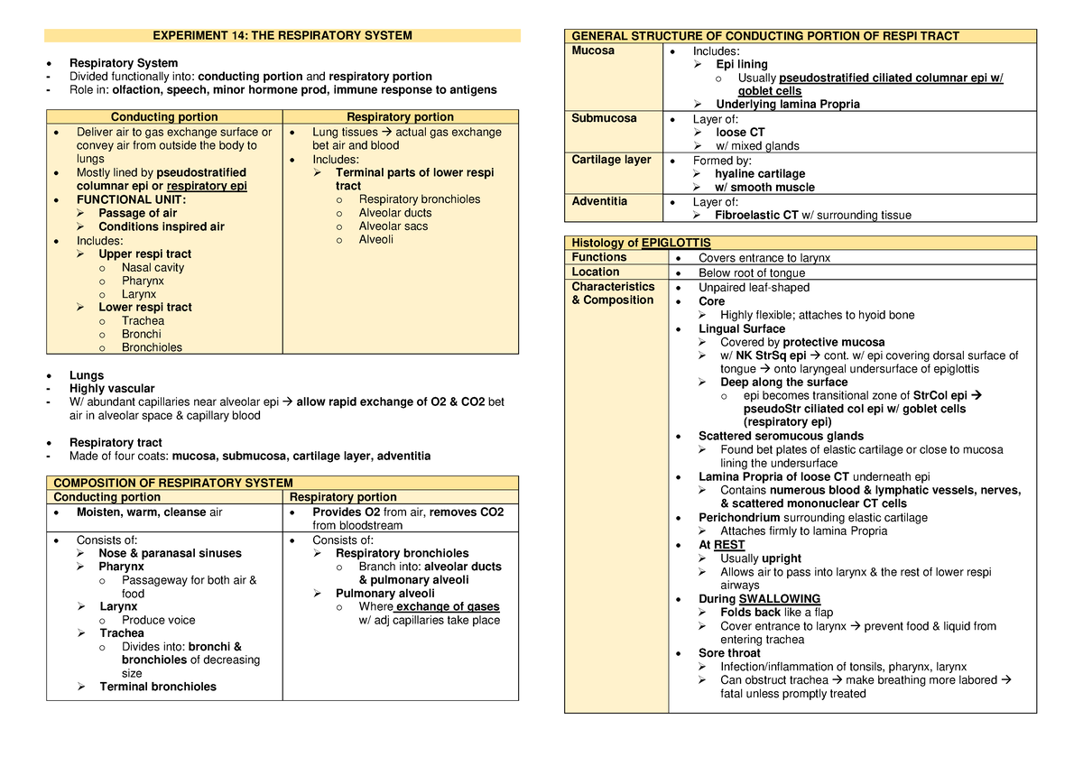 Histo LAB Respiratory System - Medical Laboratory Science - Studocu