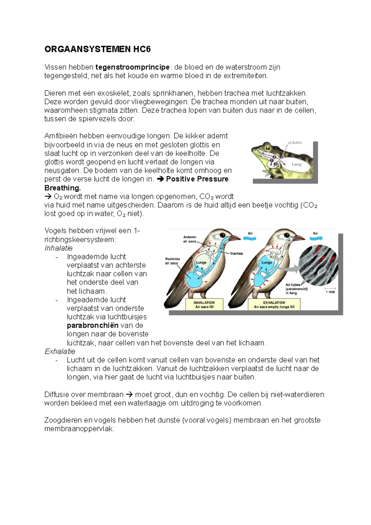 Orgaansystemen Longen ORGAANSYSTEMEN HC Vissen Hebben