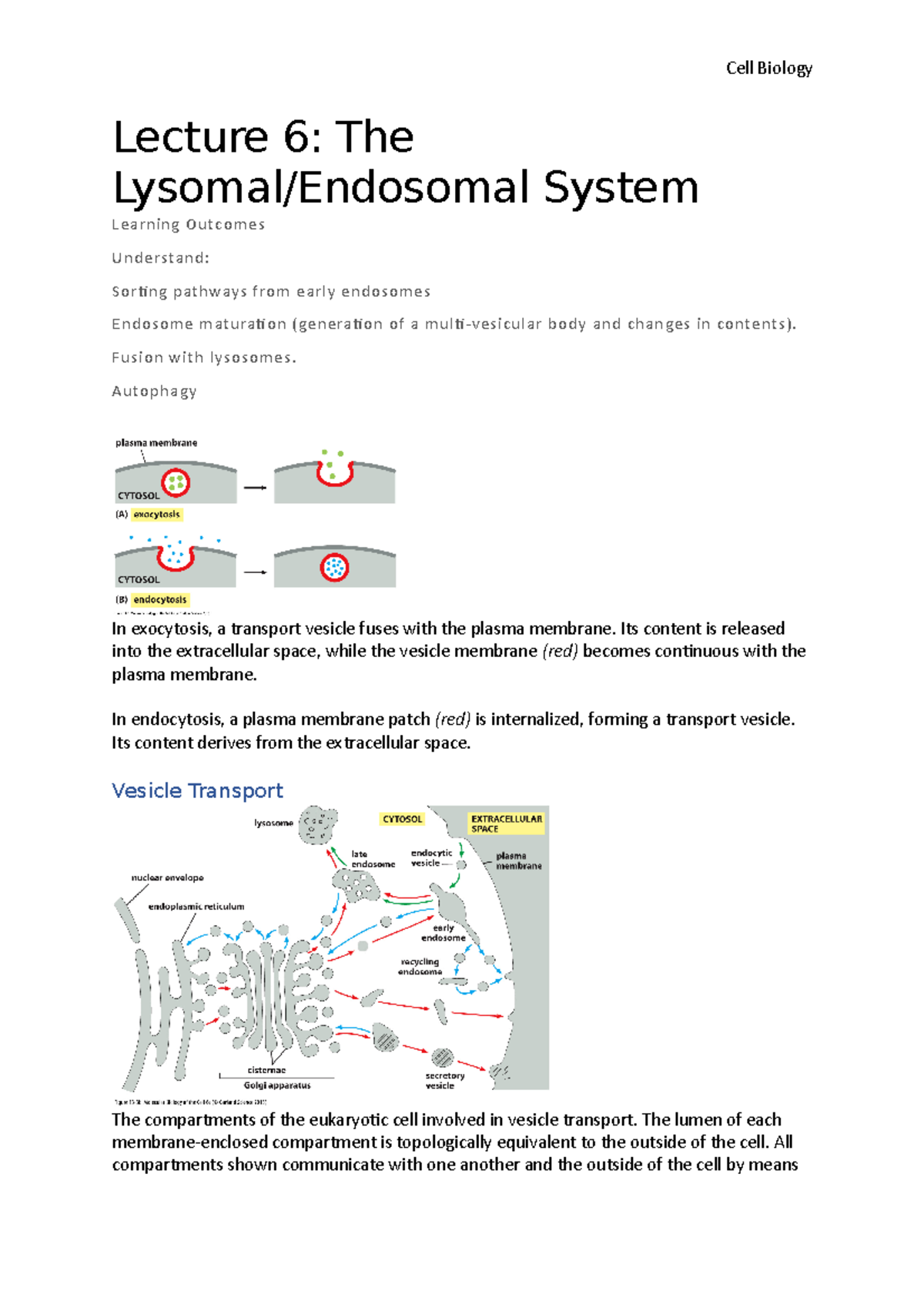 Lecture 6- The Lysomal Endosomal System - Cell Biology Lecture 6: The ...