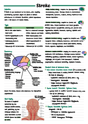 Myotomes, Dermatomes And Reflexes - Myotomes, Dermatomes and Reflexes ...