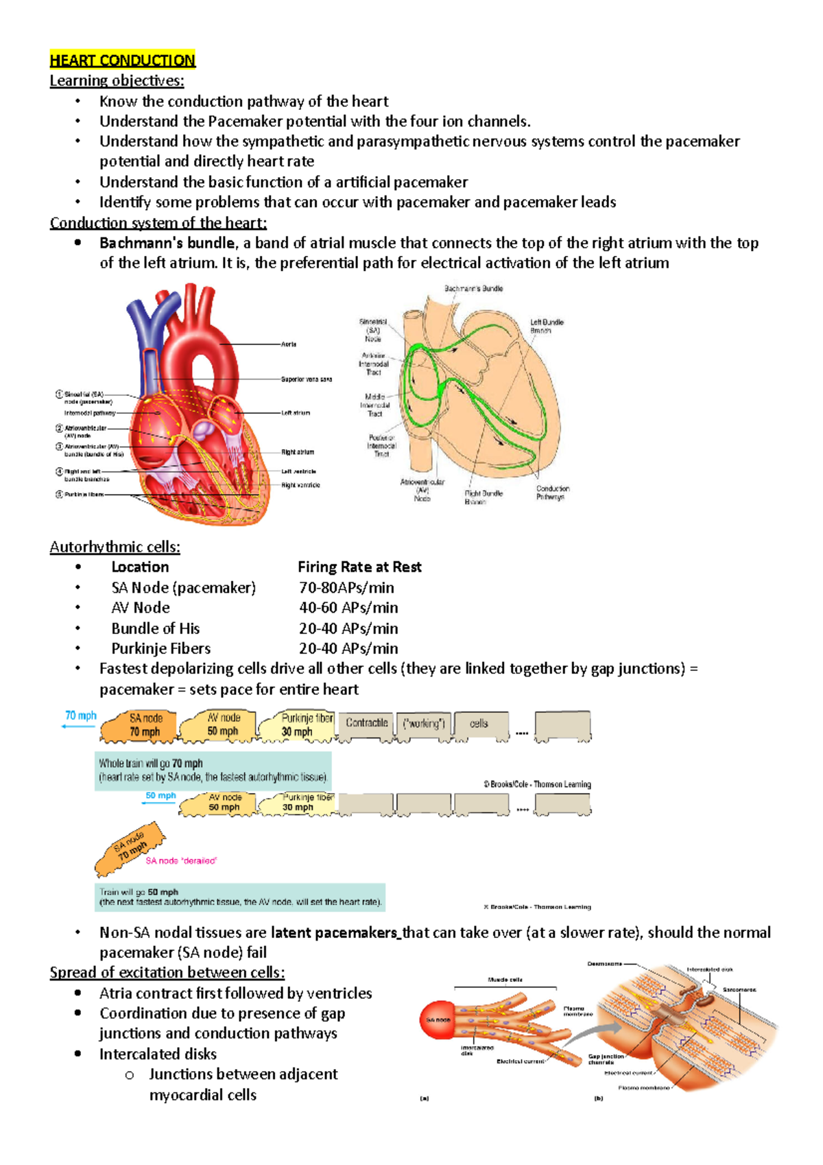P.S. Notes - HEART CONDUCTION Learning objectives: - Know the ...