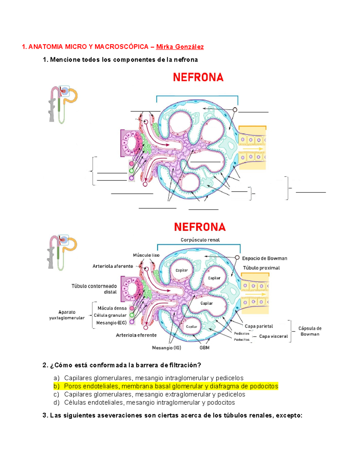 Células intraglomerulares de hipertensión Células intraglomerulares de hipertensión