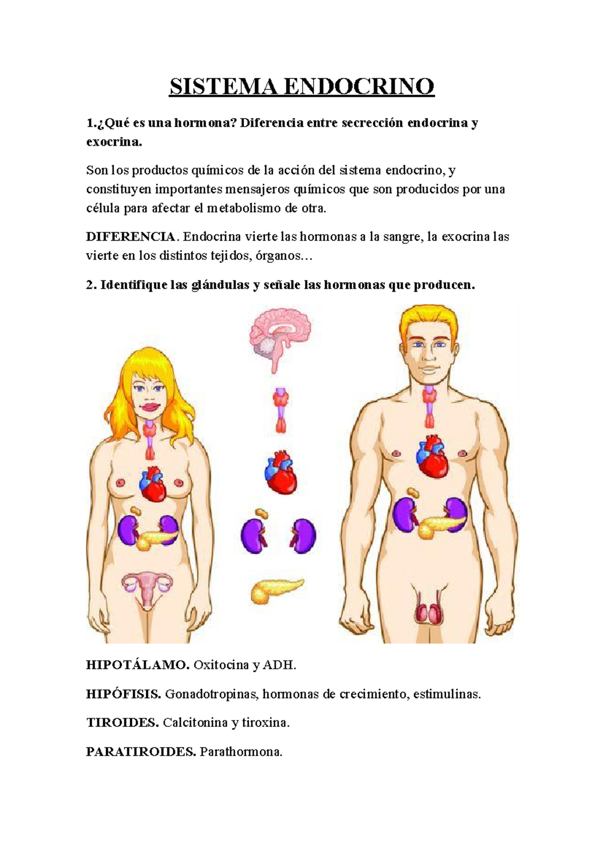 Sistema Endocrino Prácticas 21 Sistema Endocrino 1 ¿qué Es Una