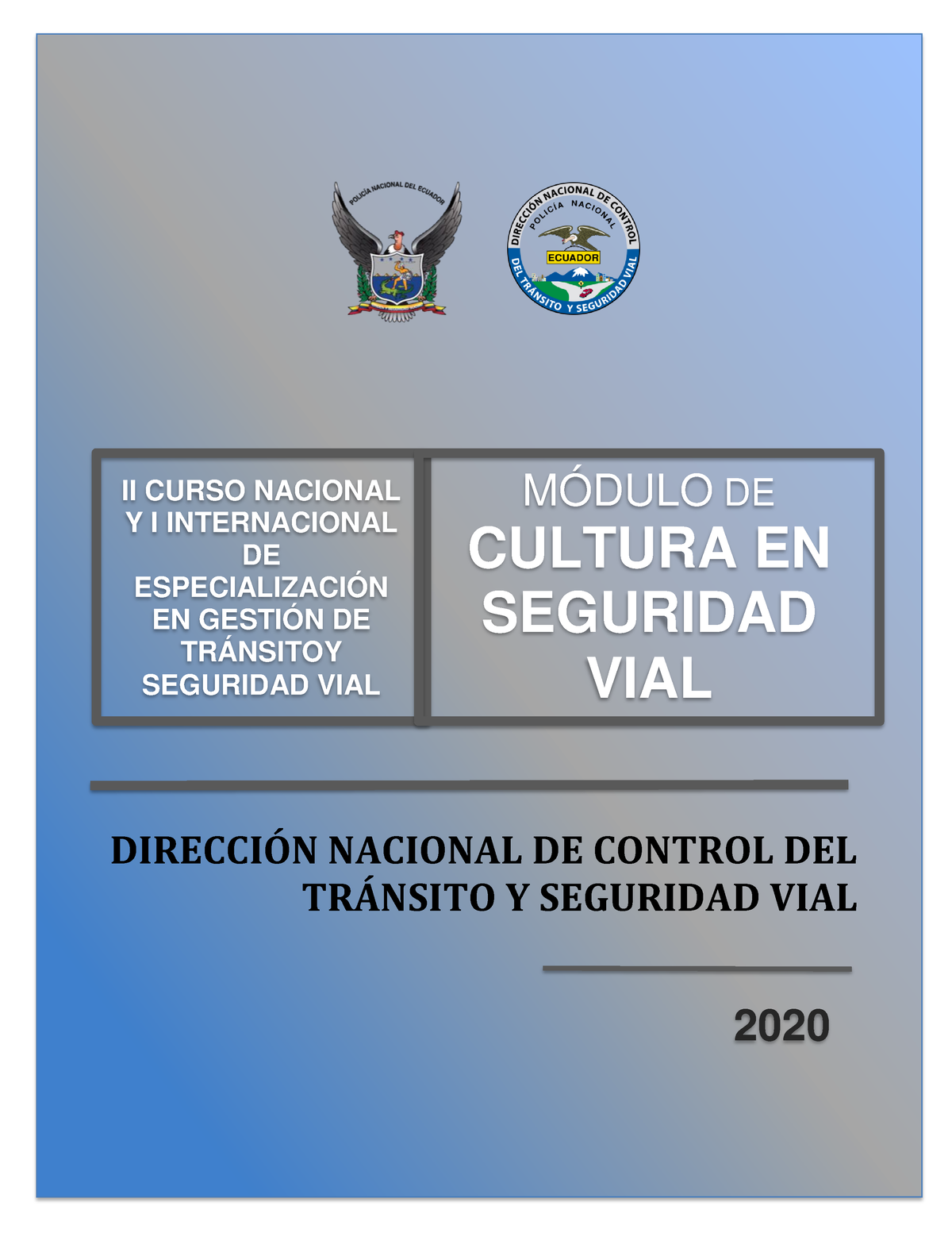 Cultura VIAL - Gestión Tránsito - DIRECCI”N NACIONAL DE CONTROL DEL TR ...