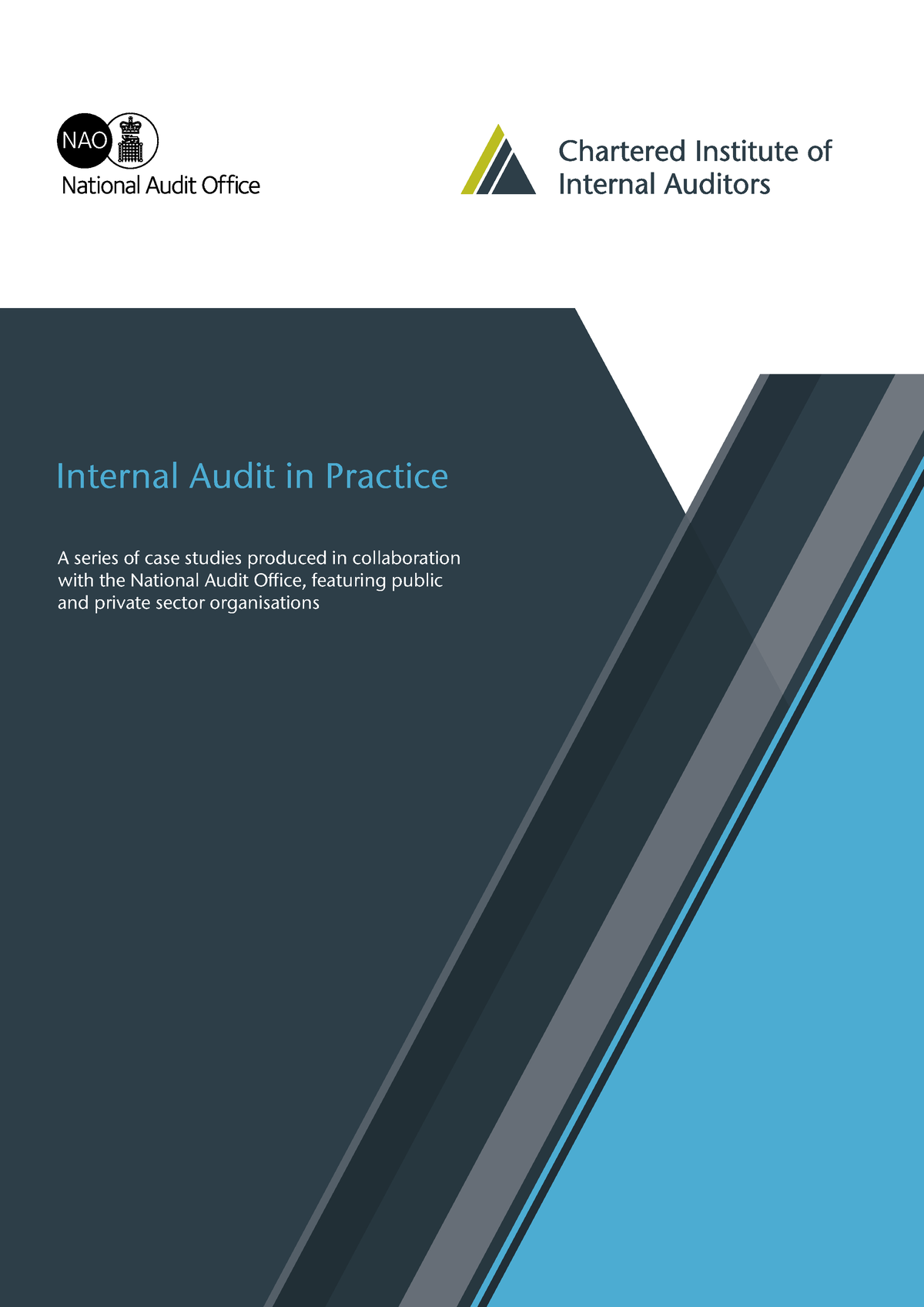 Internal audit in practice case studies - Internal Audit in Practice A ...