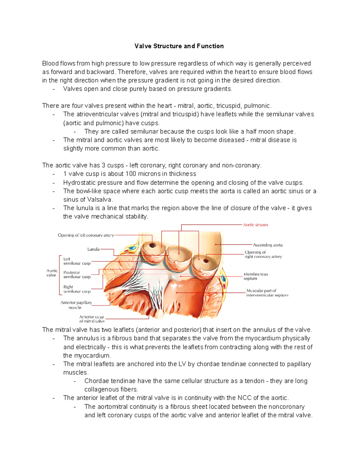 Cardio (HS375) Section 12 Valve Structure and Function Blood flows