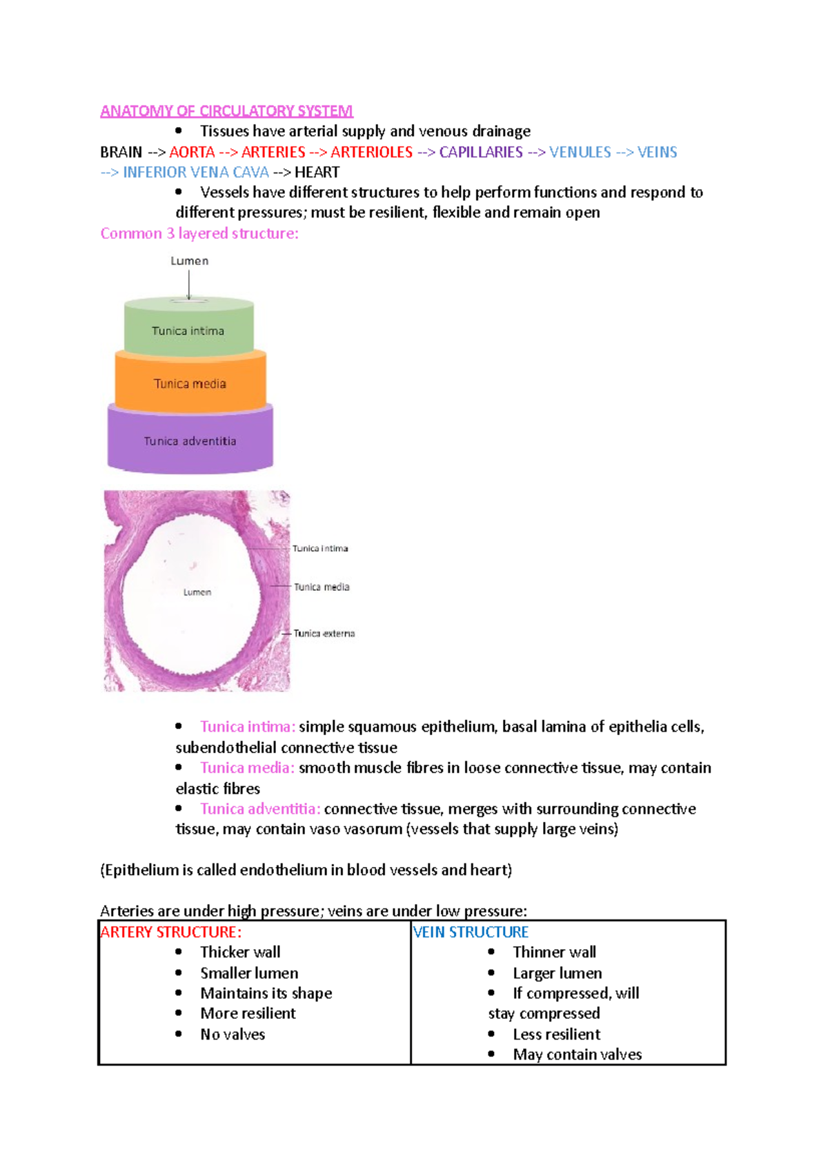 Body system 4 - Lecture notes 4 - ANATOMY OF CIRCULATORY SYSTEM Tissues ...