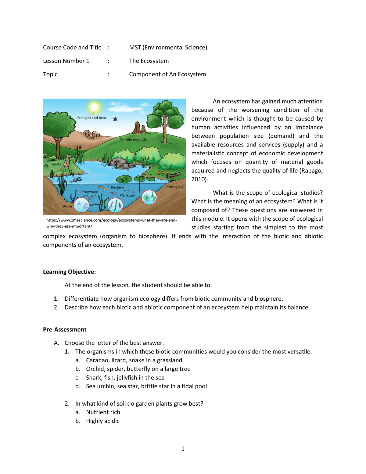 coursework for environmental science degree