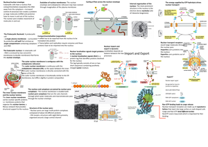 AQA Inheritance, Variation and Evolution Knowledge Organiser - C7141 ...