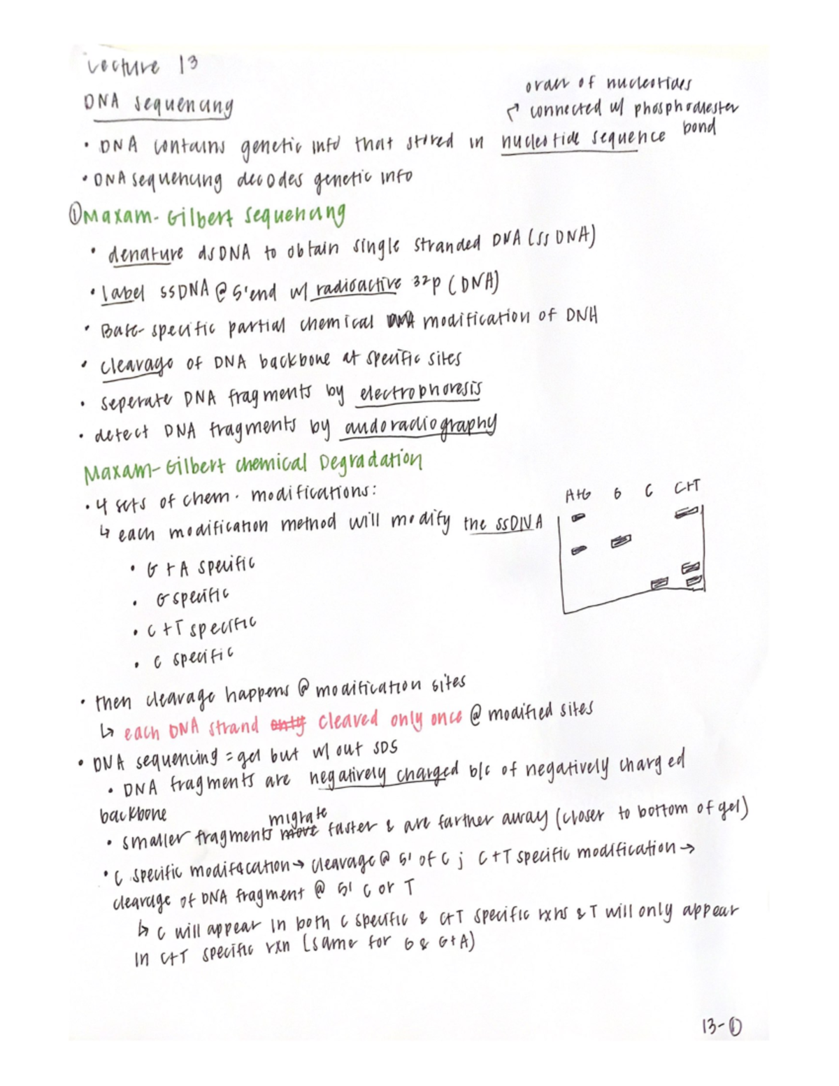 Chem 471 Lecture 13 - Bisc 471 - Studocu