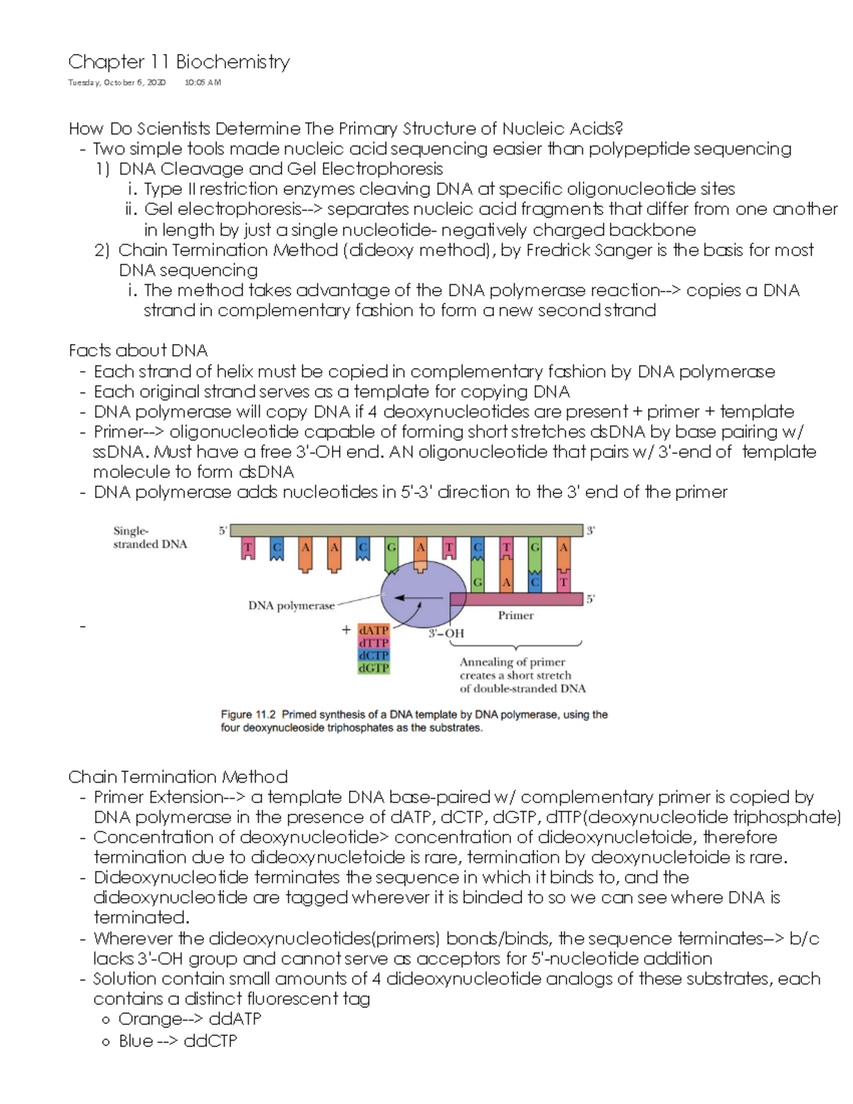 chapter-11-using-molecular-techniques-to-determine-structure-how-do