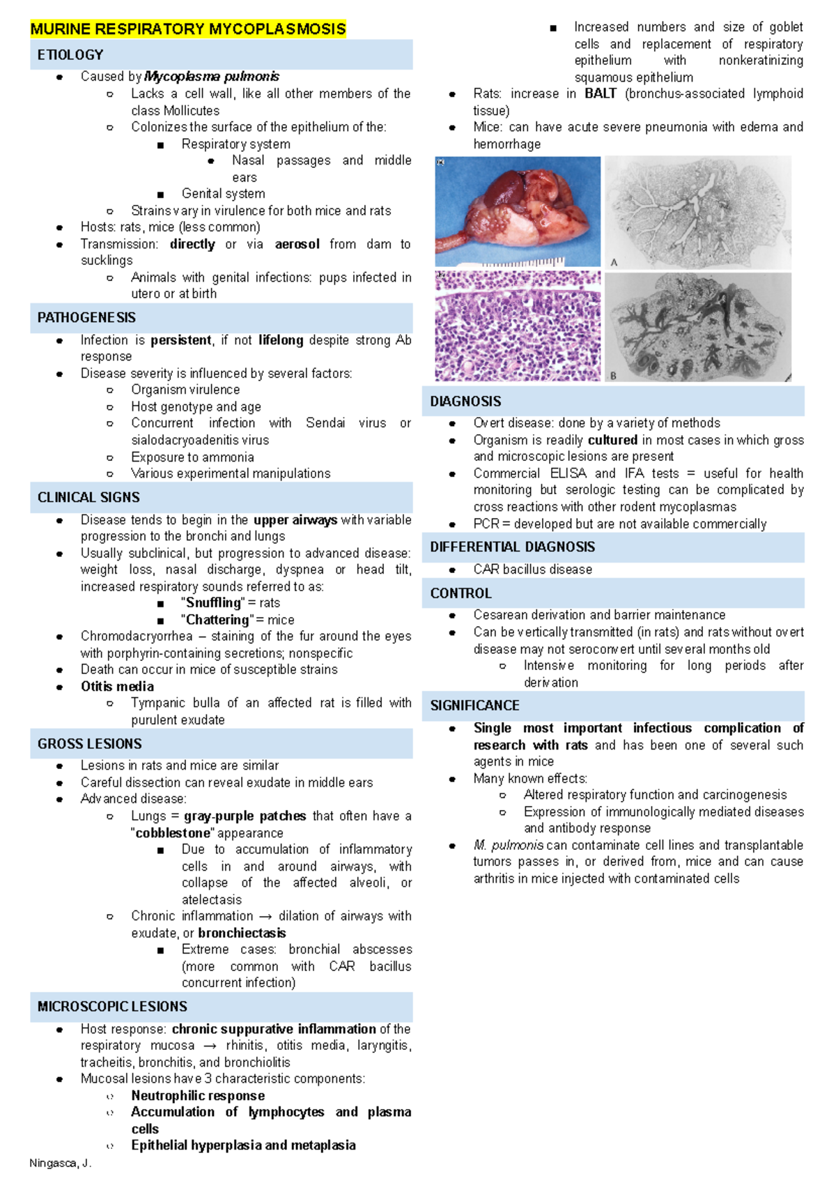 Lab animal - Murine respiratory mycoplasmosis - MURINE RESPIRATORY ...
