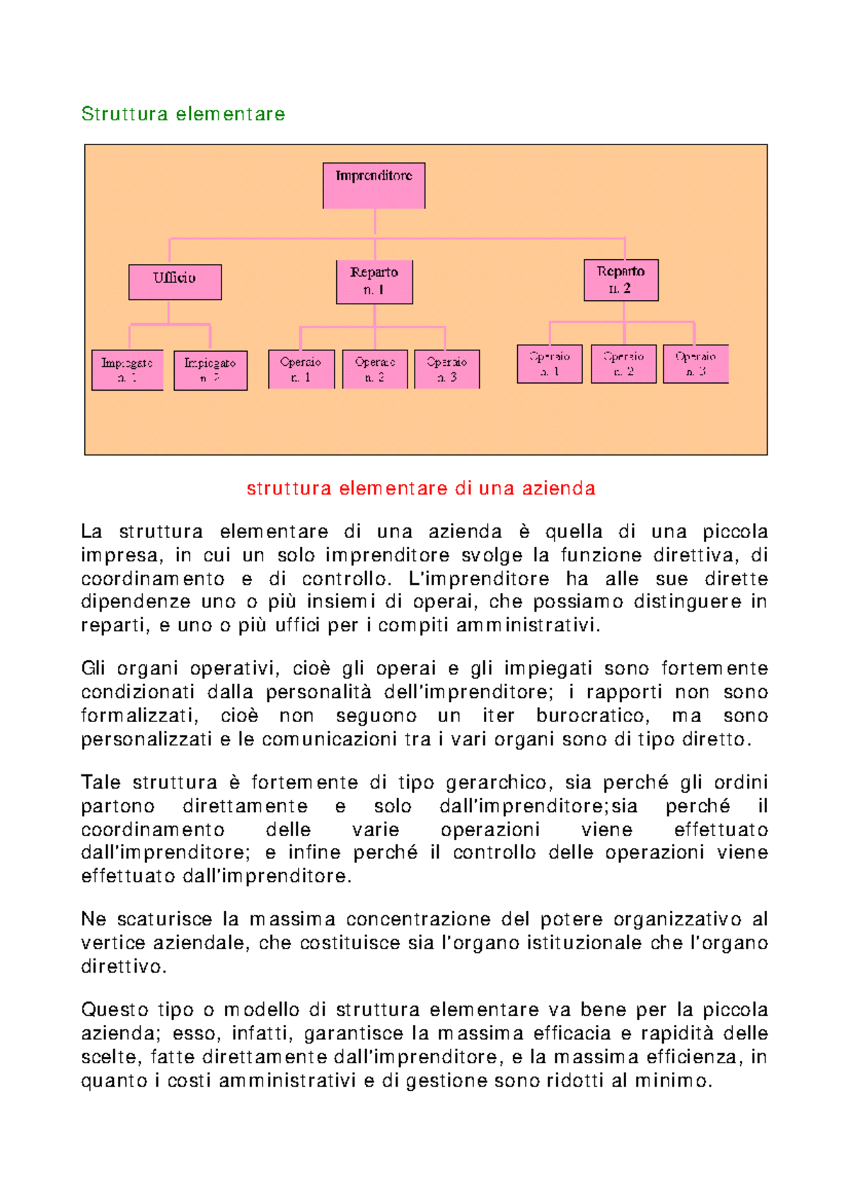 Struttura elementare e Funzionale - Struttura elementare struttura ...