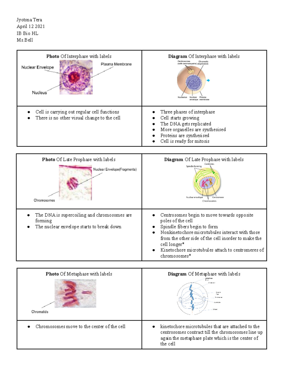 Cell Cycle Lab - Jyotsna Tera April 12 2021 IB Bio HL Ms Photo Of ...