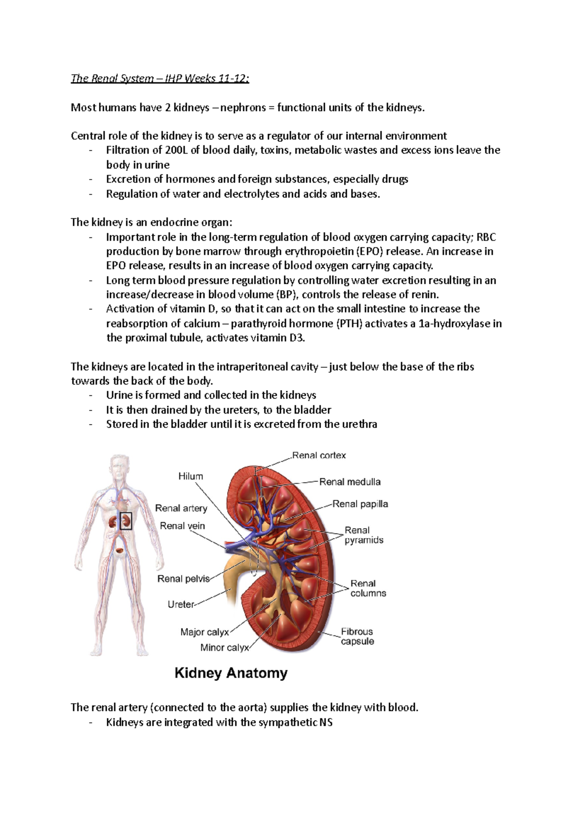 The Renal System - Central role of the kidney is to serve as a ...