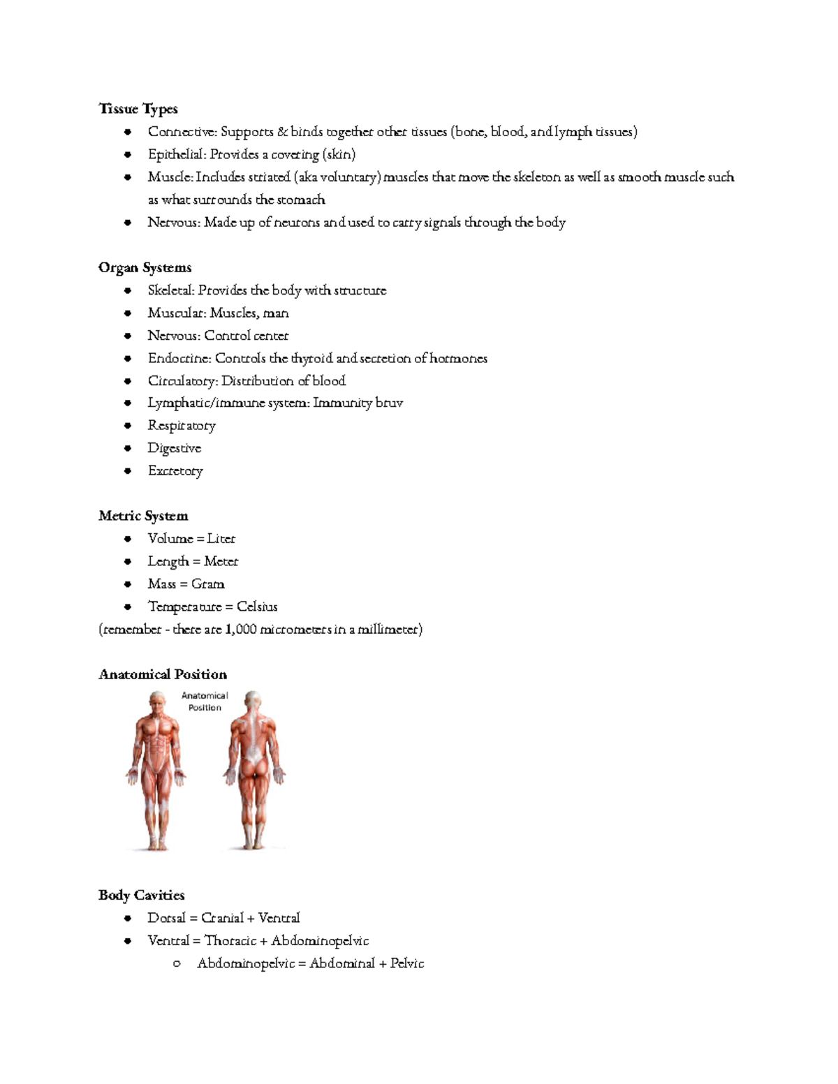 Anatomy Lab Midterm - Tissue Types Connective: Supports & binds ...