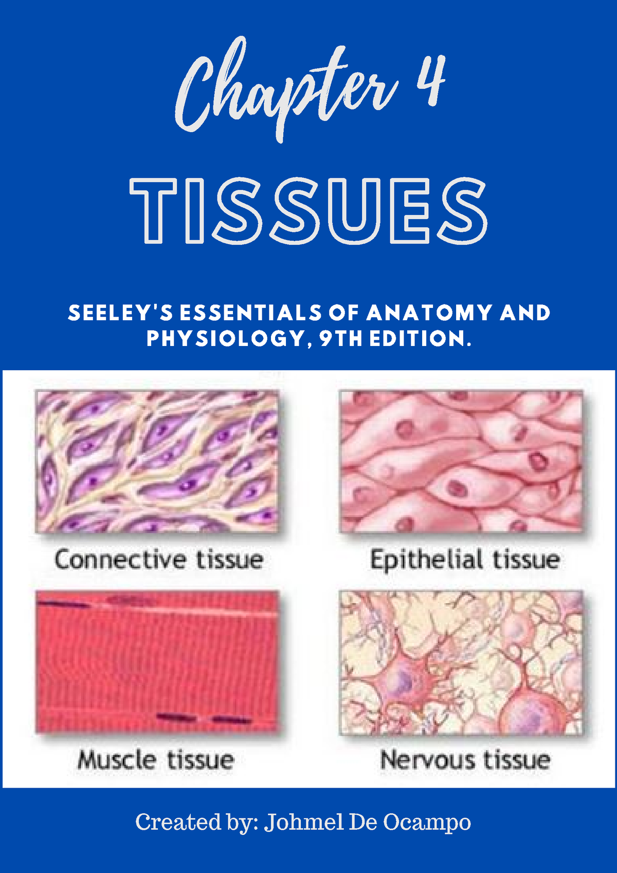 Anatomy Physiology (Chapter 4 Tissue) - TISSUES Chapter 4 SEELEY'S ...