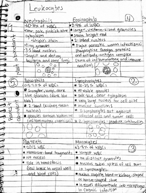 Cardiovascular System Notes - 4 Main Components of blood: plasma, RBCs ...