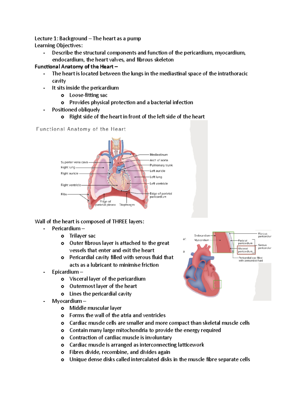 Cardio notes dyslipidaemia - Lecture 1: Background – The heart as a ...