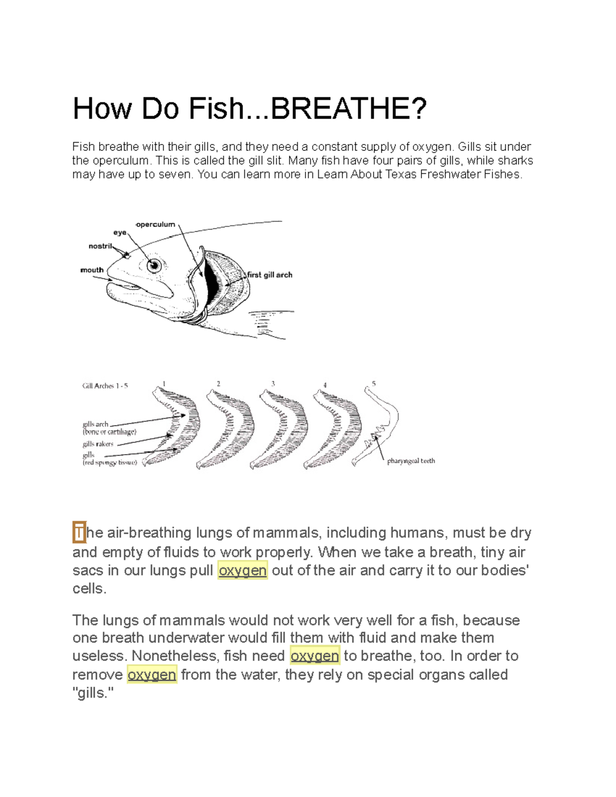 How Do Fish - How do they breath?? - How Do Fish..? Fish breathe with ...