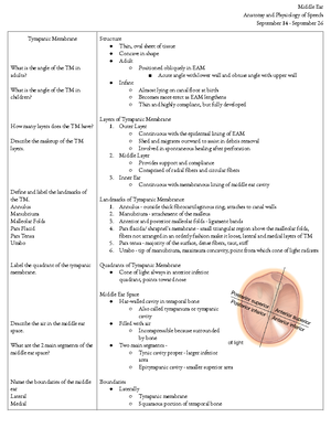 Exam 2 Review - Inner ear anatomy, auditory nerve functions - Exam 2 ...