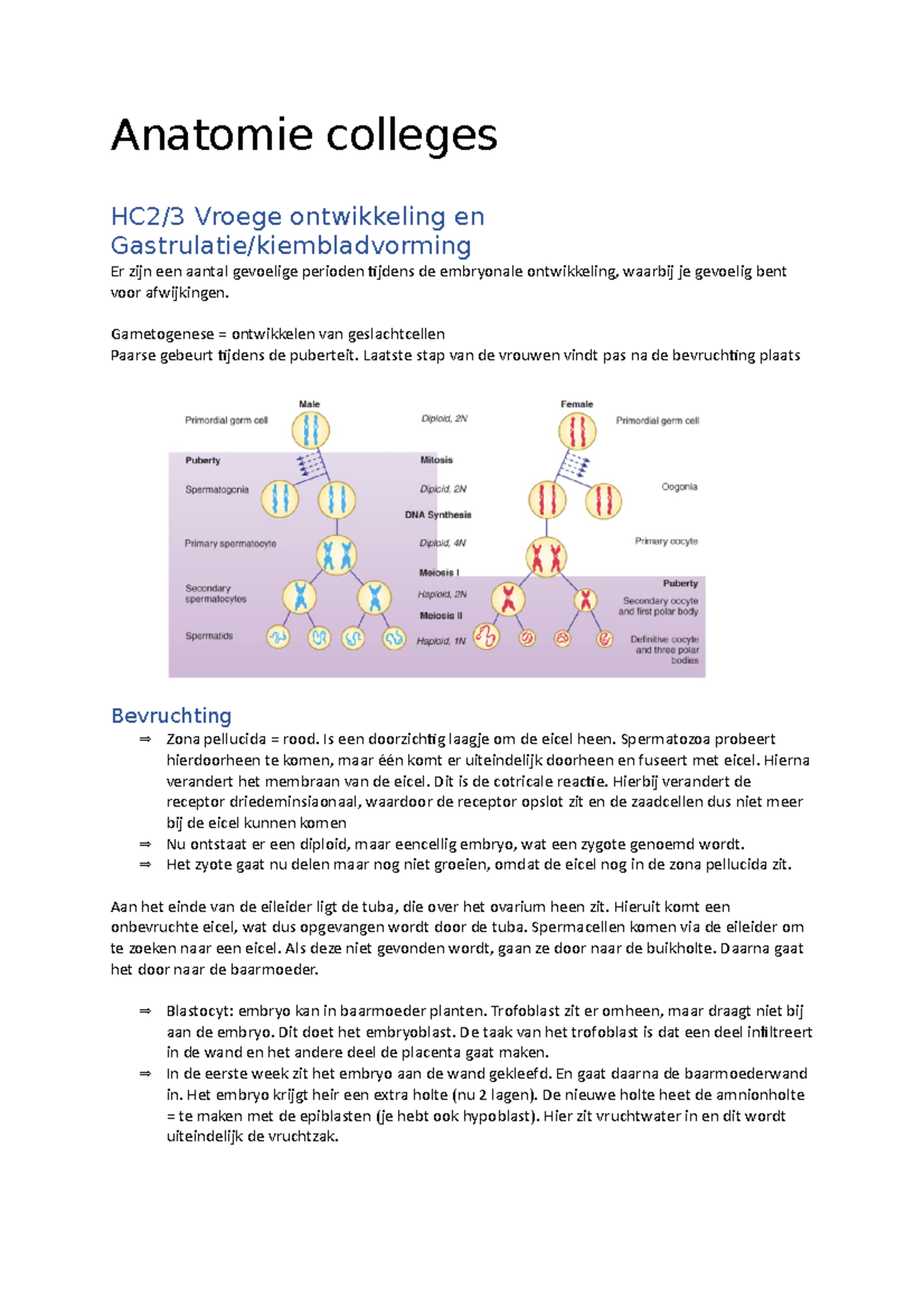 Anatomie Colleges - Anatomie Colleges HC2/3 Vroege Ontwikkeling En ...