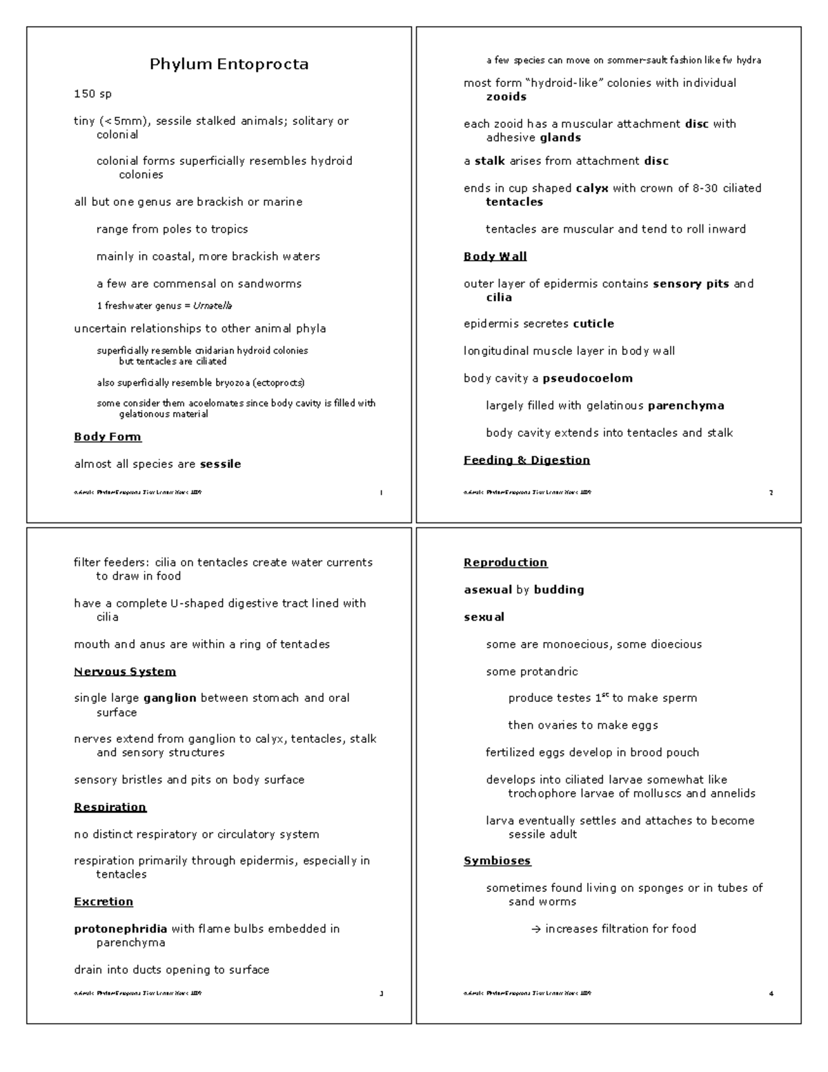 Phylum Entoprocta - General Zoology Lecture Notes and Handout - Animals ...