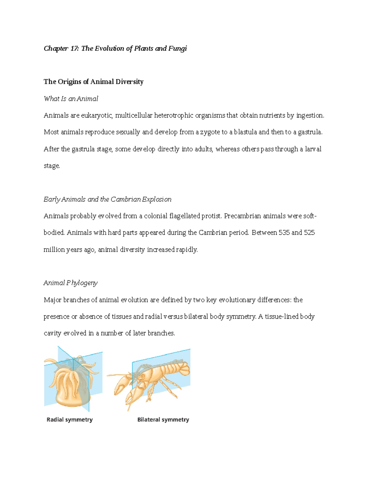 Chapter 17 Summary - Dr. Yingling - Chapter 17: The Evolution Of Plants ...