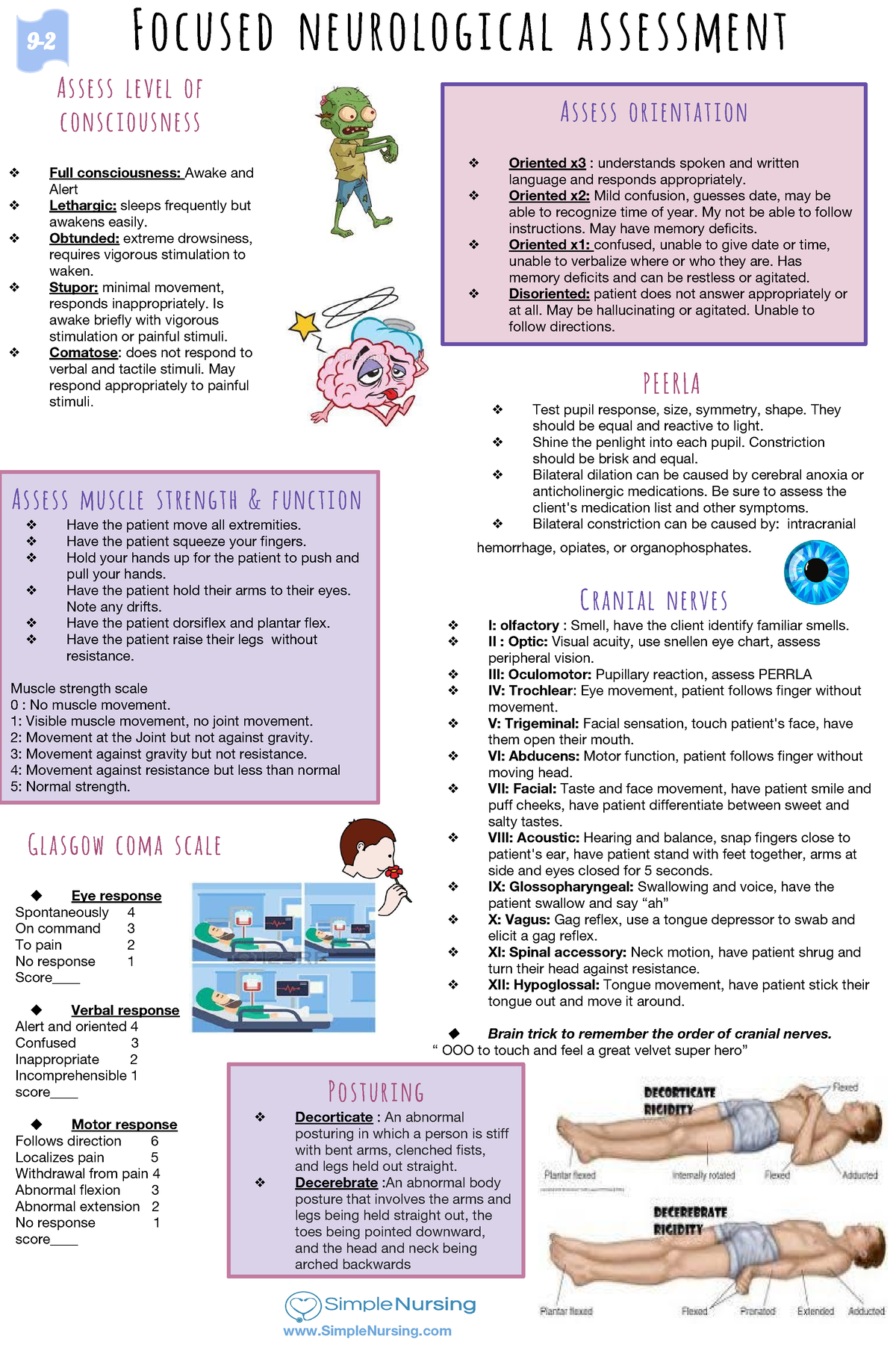 focused-neurological-assessment-focused-neurological-assessment