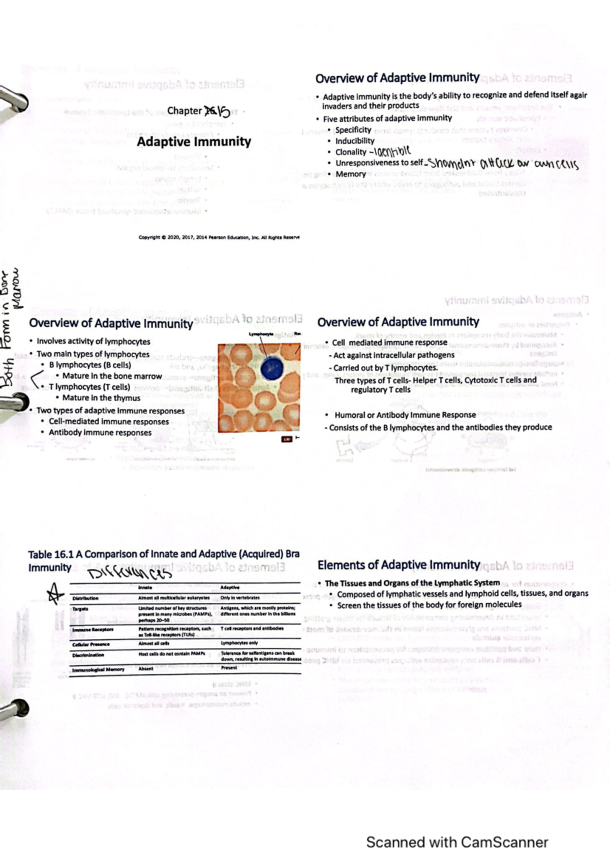 Bio 241 Ch 15 - Chapter 15 - BIOL 241 - Studocu