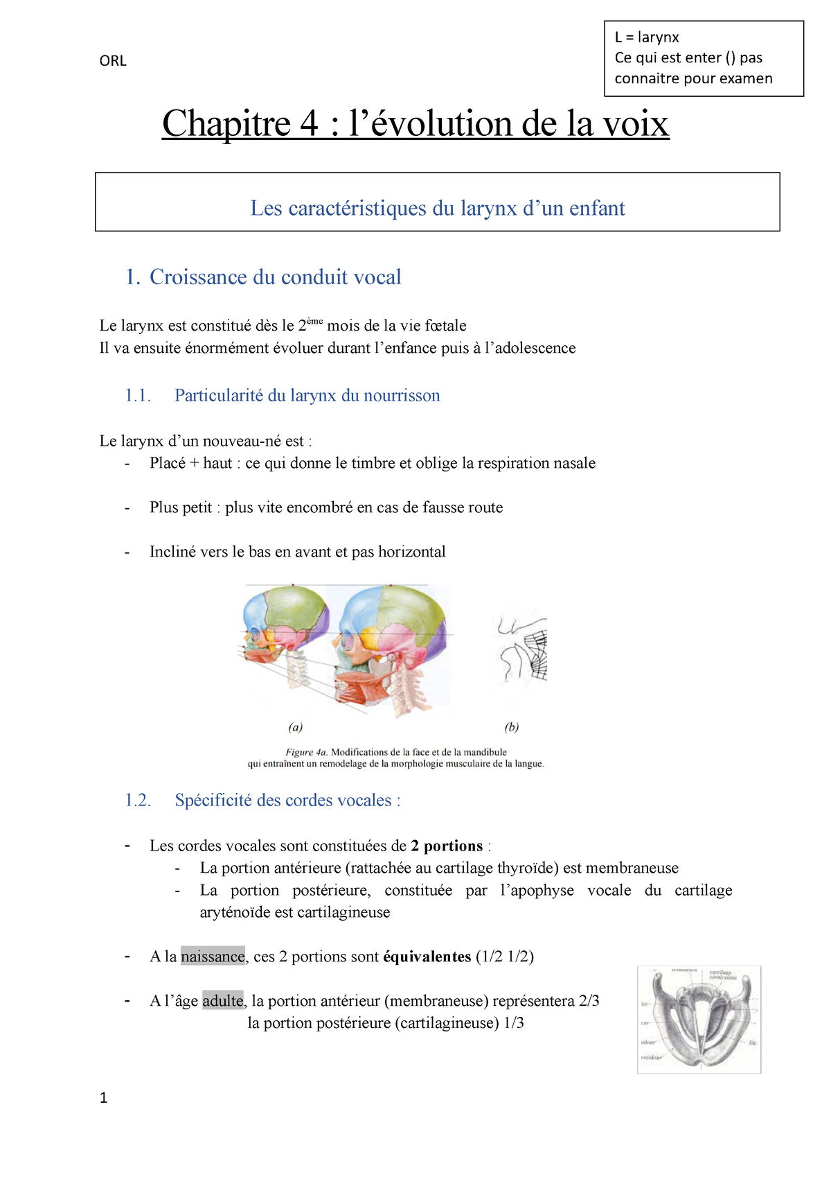 ORL - La Voix - Chapitre 3 ORL - ORL Chapitre 4 : L’évolution De La ...