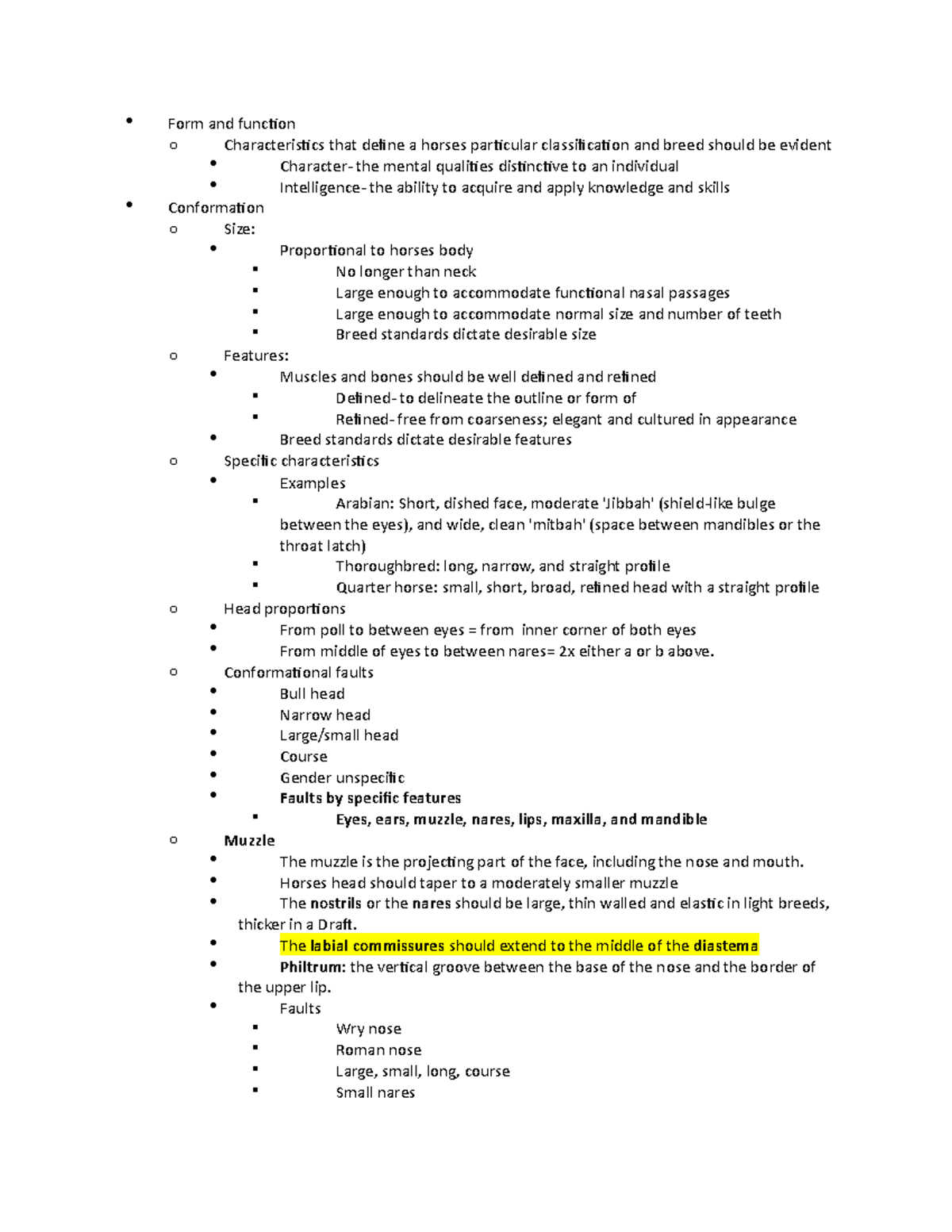 Equine Head conformation - Form and function o Characteristics that ...