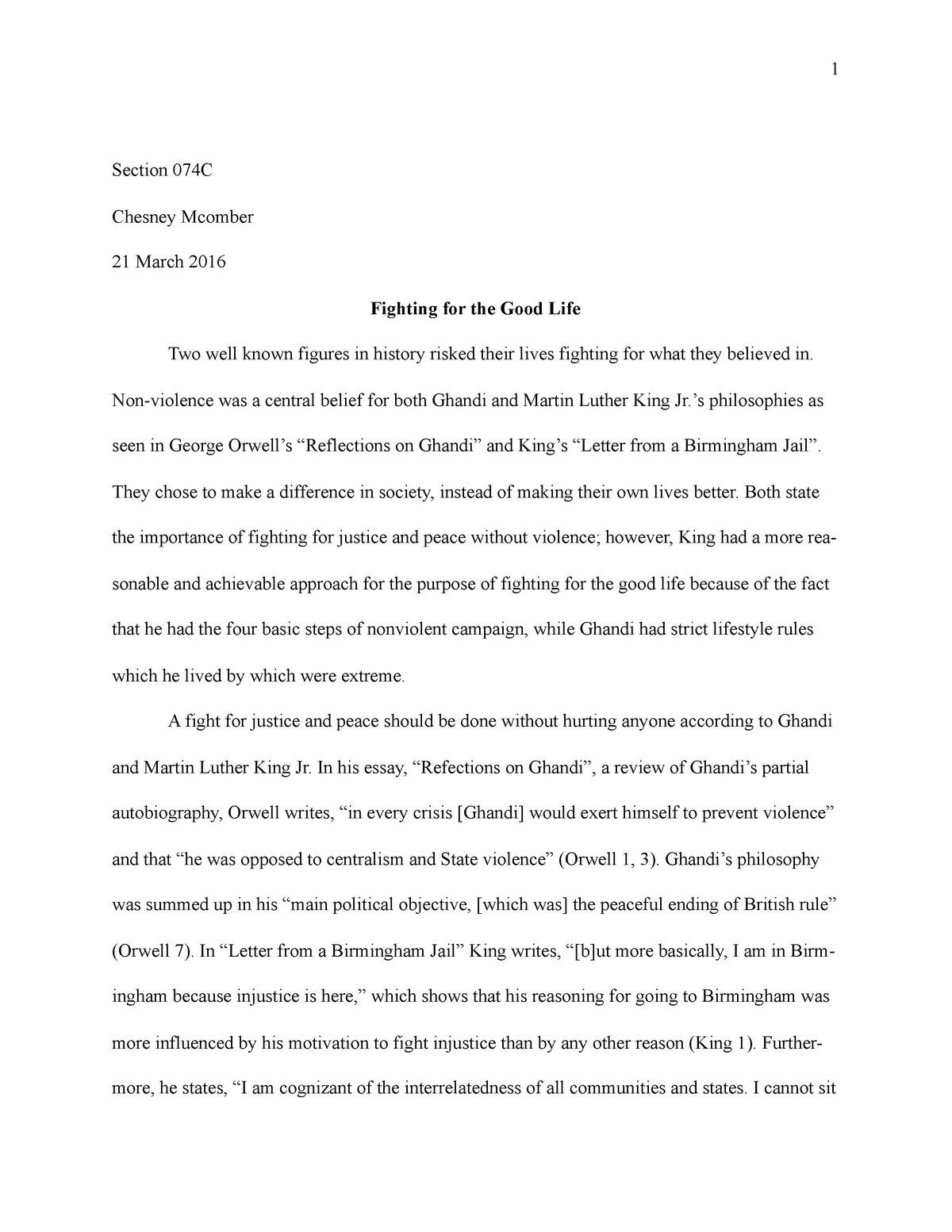 essay about fighting in life