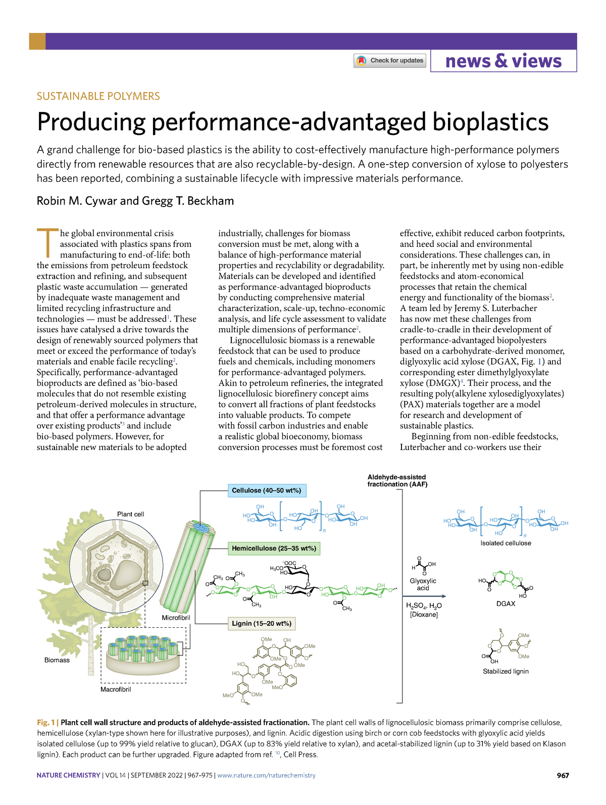 S41557-022-01030-y - Nothing - 967 News & Views SUSTAINABLE POLYMERS ...