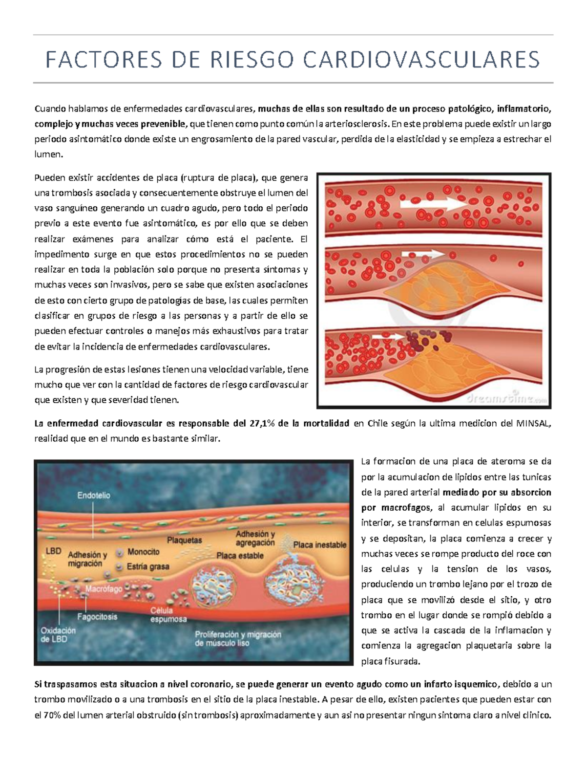 Factores De Riesgo Cardiovascular - FACTORES DE RIESGO CARDIOVASCULARES ...