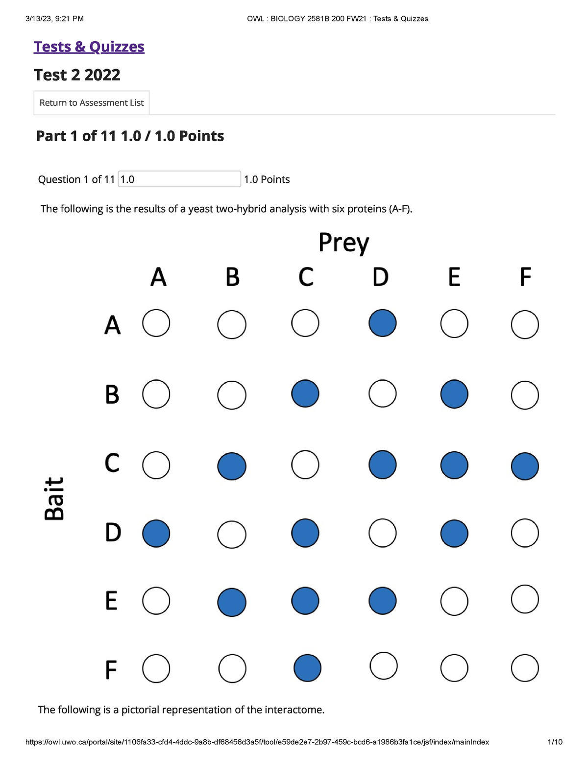 genetics-test-2-tests-quizzes-test-2-2022-return-to-assessment-list