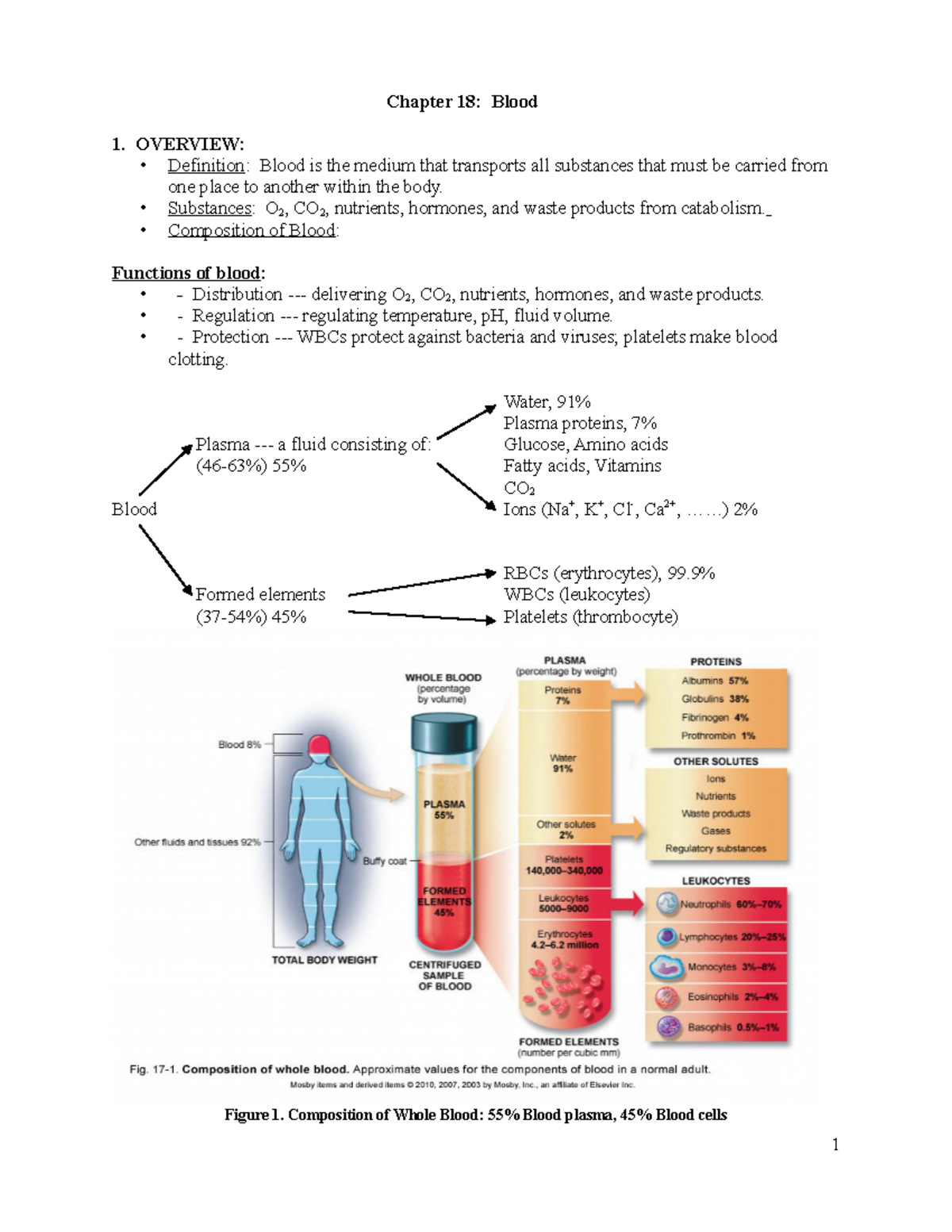 Chapter 18 the circulatory system - Chapter 18: Blood OVERVIEW ...