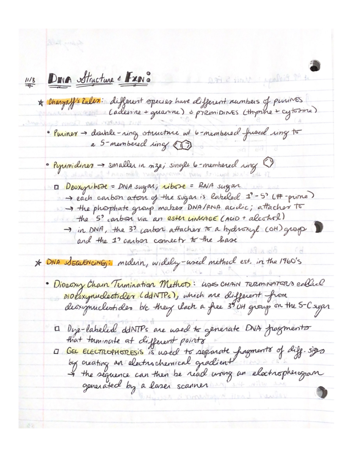 APBio Notes Part 3 - biology - ENGL 4130 - Studocu