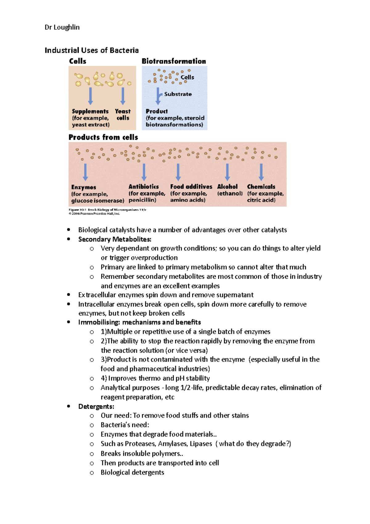 Industrial Uses of Bacteria - Dr Loughlin - Dr Loughlin Industrial Uses ...