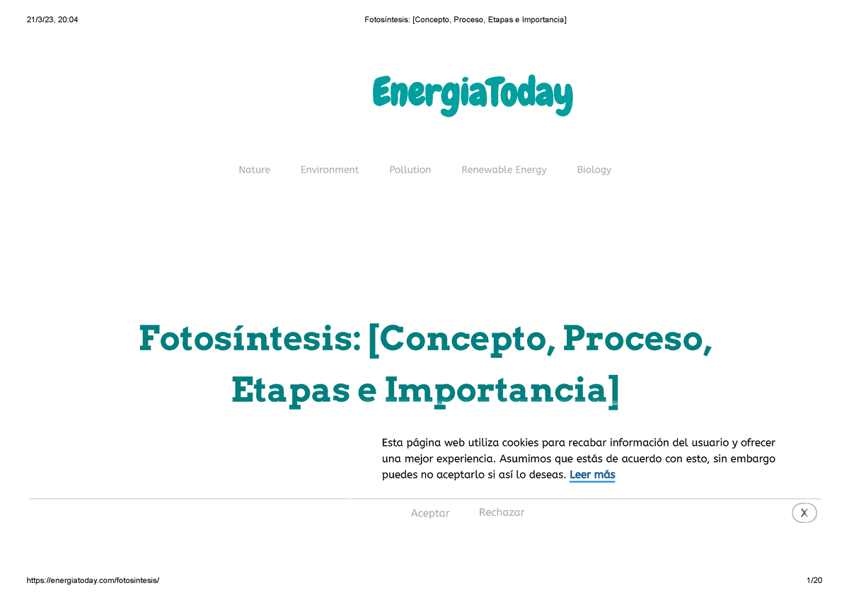 Fotosíntesis [Concepto, Proceso, Etapas E Importancia] - Fotosíntesis ...